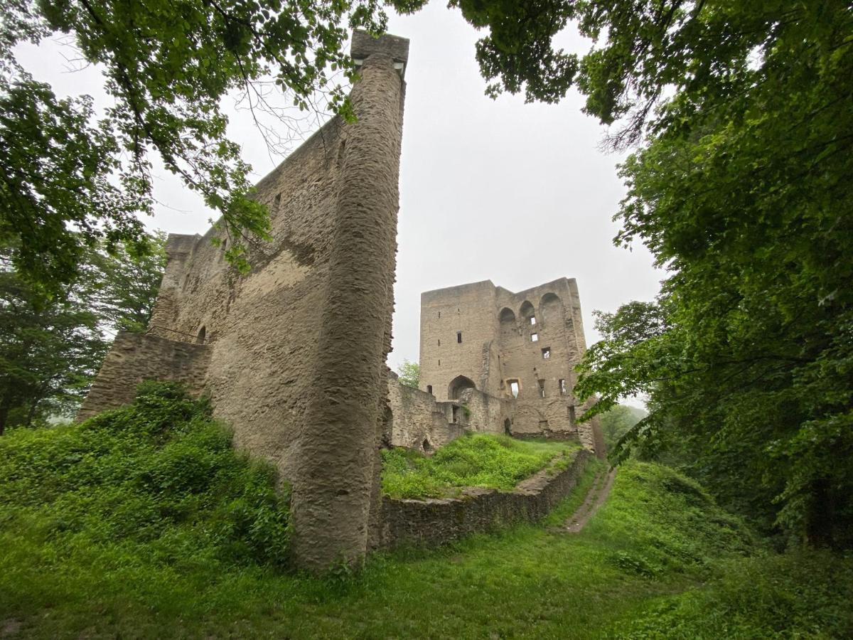 Neu!!! Netflix!!! Schoene Ferienwohnungen Im Gruenen Mit Top Ausstattung - Nur 15 Min Bis Koblenz Eitelborn Exterior foto